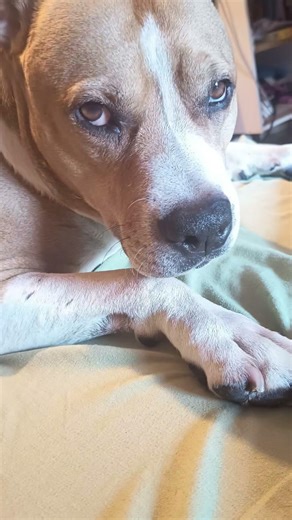 arrêt maladie pas envie de taf 😂😂😂😂 😂😂😂😂😂😂 les beaux jours arrivent 😂😂