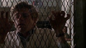 Watch Highlander: The Raven Season 1 Episode 5 - So Shall Ye Reap