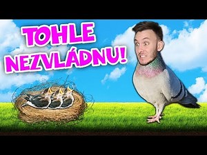 SIMULÁTOR HOLUBA! | Pigeon Simulator