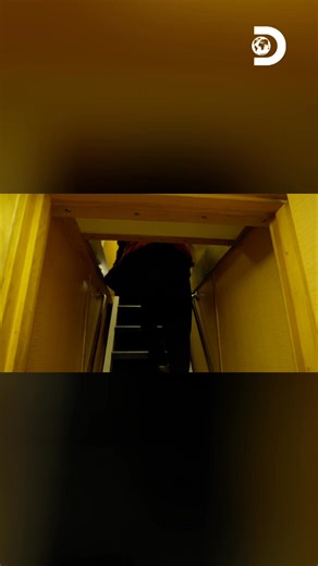 “¡No puede ser! Este barco es increíble”, celebra Jake mientras explora su Titan Explorer ⚓😲 #PescaMortal Descubre más contenidos como este en #HBOMax Suscríbete ahora https://bit.ly/MAX-DiscoveryLA | Discovery Latinoamérica