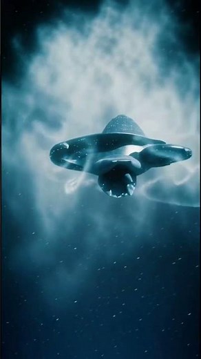 Sperm Whale vs Giant Squid – Deep Sea Battle You’ll Never See