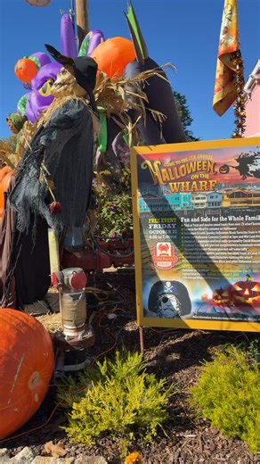 Gorgeous day on the Wharf with spooky decor too! | Monterey Old Fisherman's Wharf