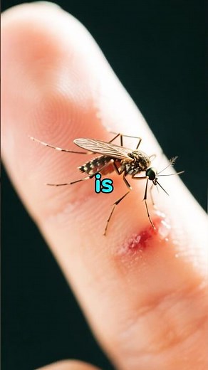 The BLOOD SUCKING VAMPIRE of the animal kingdom