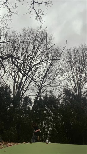 weirdtherian (@weirdtherian7)’s videos with sonido original - ; lyra sounds