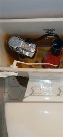 Will New Toilet Full Valve And Flapper Help?