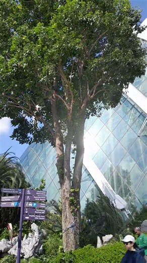 Inspecting a lightning conductor.