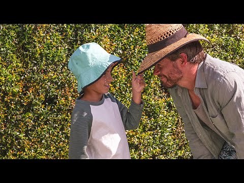 Save your skin 2024 (30") | Cancer Council