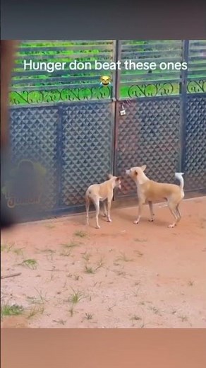 #2 90 Moments Incroyables et Chutes Drôles : Unbelievable Fails and Epic Moments! | Laugh