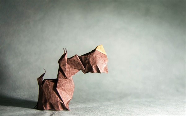 【JM's Origami】苏格兰梗犬折纸教程Origami Scottish Terrier by Hoang Tien Quyet