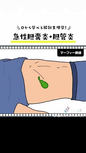 【急性胆嚢炎・胆管炎】 #医療学生 #解剖生理学 #インストラクター #セラピスト #マッサージ #看護 #看護学生 #整体 #解剖学 #解剖学の勉強 #過去問 #胆嚢炎 #胆管炎 #急性胆嚢炎 #急性胆管炎