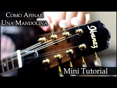 How to Tune a Mandolin | Mini Tutorial