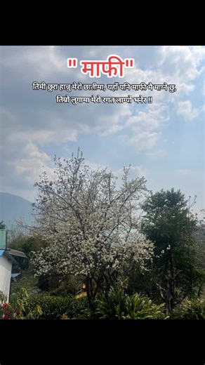 cccccc (@ghdjdtdtdjsj)’s videos with original sound - The Artists Club