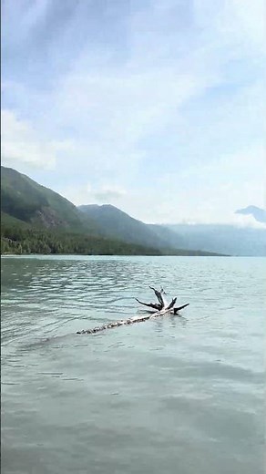 Eklutna Lake Alaska | Stunning Glacier-Fed Lake Adventure, Alaska, USA 🇺🇸