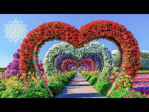 Affirmations: Re-Programming Your Subconscious Mind for Miracles.