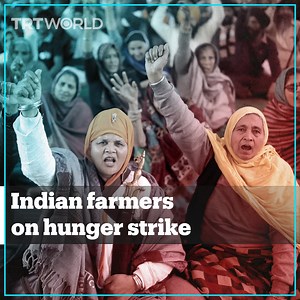 15K views · 116 shares | Indian farmers began a one-day hunger strike in protest against new agricultural laws after a week of clashes with authorities that left one dead and hundreds injured. | TRT World | Facebook