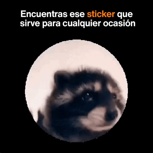 Da igual el contexto, hay stickers que siempre aciertan 😇 🔝 | Orange