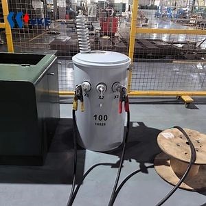 [Hot Item] New Arrival 167kVA Pole Mount Transformers 6.3/6.6/7.2kv 220V Electric Transformer