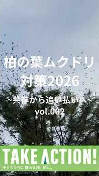 『柏の葉ムクドリ対策2026 / いよいよムクドリの飛来はじまる！～共存から追い払いへ 002～ 』★TAKE ACTION!渡辺ゆうじチャンネル（柏市議会議員）★