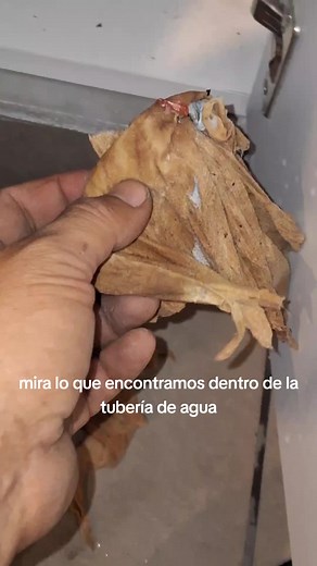 Destapando Tuberías de Agua Potable: Solución Efectiva
