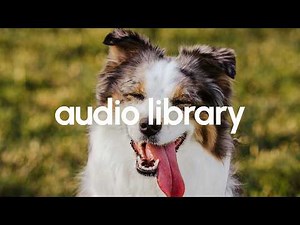 DAILY No Copyright For You – Advertising by Scandinavianz 🎵