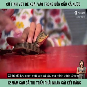 8.4M views · 155K reactions | Cố tình vứt bé xoài vào trong bồn cầu xả nước 12 năm sau cả thị trấn phải nhận cái kết đắng #phimhay | Wormzone gaming | Facebook