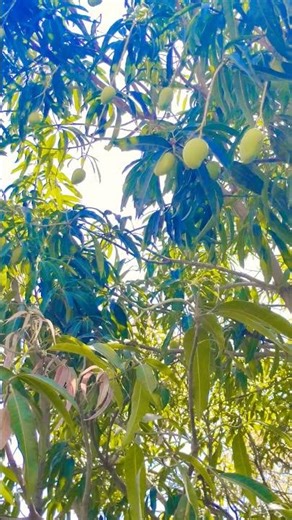 html keyboard tag, keyboard tag html, keyboard tags, how to use keyboard tag in html | short 🙏🙏🙏😂🙏🙏