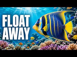 Aquarium 4K 🐠 Relaxing Coral Reef & Tropical Fish for Sleep, Stress Relief & Meditation