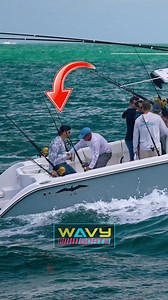 A Rare Sight to Capture an Invincible Cat Stuffing at Haulover! You just never know at the blender ➡️ Follow Wavy Boats for more original boat action videos! The largest boat action network across all platforms! #wavyboats #hauloverinlet #hauloverboats #haulover #boats #bocainlet #boyntoninlet #miamiriver #jupiterinlet #roughinlets | Wavy Boats