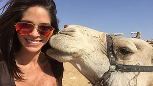 1.3M views · 17K reactions | ❤️#AllWeNeedIsCamelLove❤️ -Todo lo que necesitamos es el amor de un camello | Michelle Lewin | Facebook