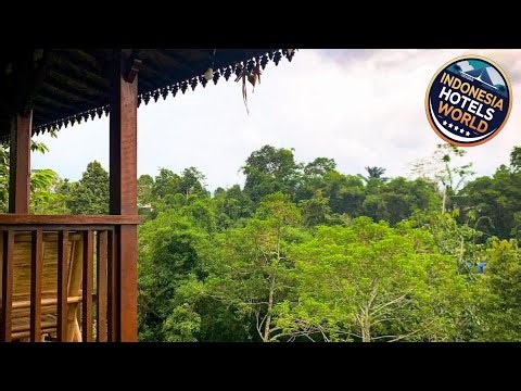 Kubu Damai Guest House | Bali, Indonesia | Hotel Review 🌟