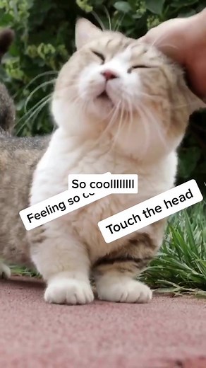 Jessie Jiang (@jessiejjx_)’s videos with feeling - Official Sound Studio