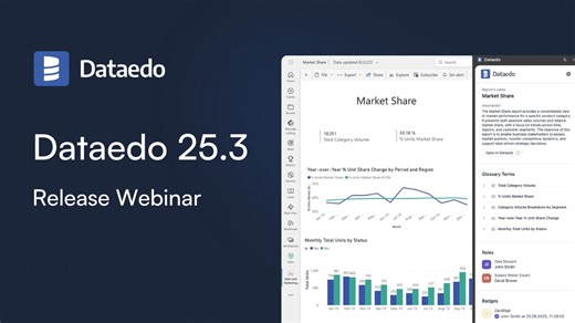 Dataedo 25.3 - Release Webinar