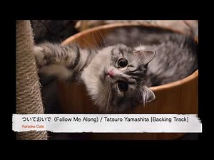 ついておいで / 山下達郎 [Backing Track] HD
