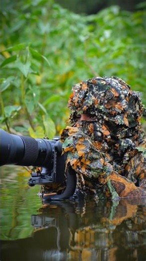 Wild Eye: Into the Water World 🌿👀 #nature #wildlife #photography