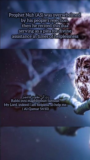 Dua of Prophet Nuh (AS), Rabbi inni maglubun fantasir #dua #duaofprophrtnuh #duaa
