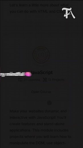 What is The Odin Project?