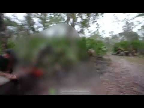 Streamer KILLS A PIG Live On STREAM!