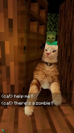 Cats Enter the Gaming World: A Funny Journey