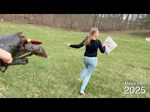 12 years of chasing my wife with a lobster (2025 Update)