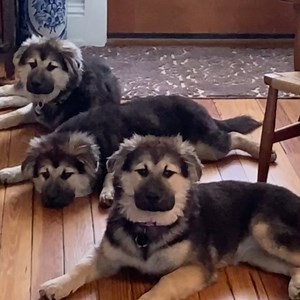 Suddenly we need $50,000 🤔 | In The Know