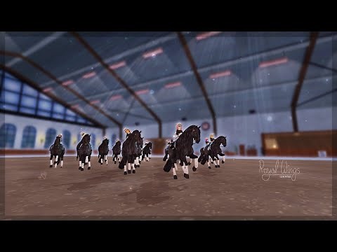 [+13] Dressage - Glitter & Gold [SSO]