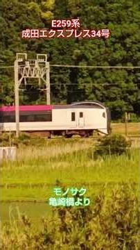 寺崎トンネルを行き交う、E259系成田エクスプレス37号と、成田エクスプレス34号‼️ ＃寺崎トンネル ＃亀崎橋 ＃モノサク ＃E259系 ＃成田エクスプレス 2026/05/17 16時10分
