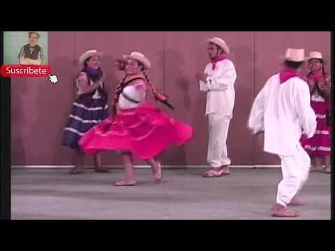 Sones bravios de San Pedro Pochutla (con pasos básicos) Baile folcklorico de Oaxaca, México.