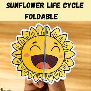 Sunflower life cycle foldable
