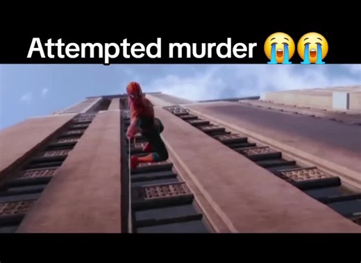 projector_cat (@projector_cat)’s videos with original sound - 🅾️TKmusic plug