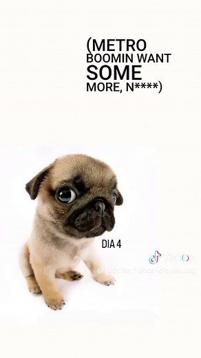 Día 4: Pug Rapper & Metro Boomin