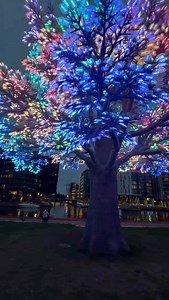 5.7K views · 1.3K reactions | 2025 in review - September magic courtesy of the Oslo Tree at Filipstad was the most popular post of the month. 彩❤️ #oslo #visitoslo | Visit Oslo | Facebook