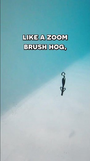 The Core Tackle Ozark Rig makes the Texas Rig OBSOLETE! #coretackle #bassfishing #bassfishinglures