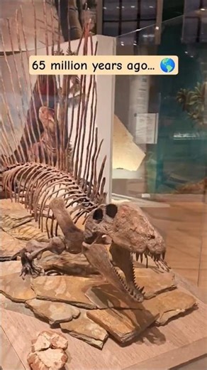 This Once Ruled Earth 🦖 | 65 Million Years Ago