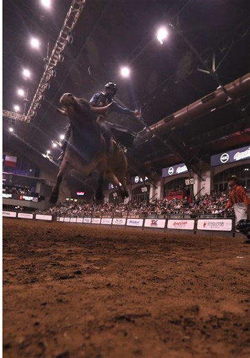 100% bull POWER 🐂 PBR Stockyards Showcase, happening Thursday at 7:30PM. Secure your seats now at cowtowncoliseum.com! 🎥: @Paris Mayhew🎥 @PBR #pbr #bullriding #cowtowncoliseum #fortworthstockyards #thingstododfw